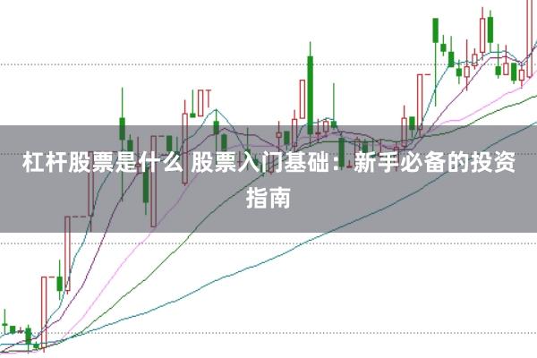 杠杆股票是什么 股票入门基础：新手必备的投资指南