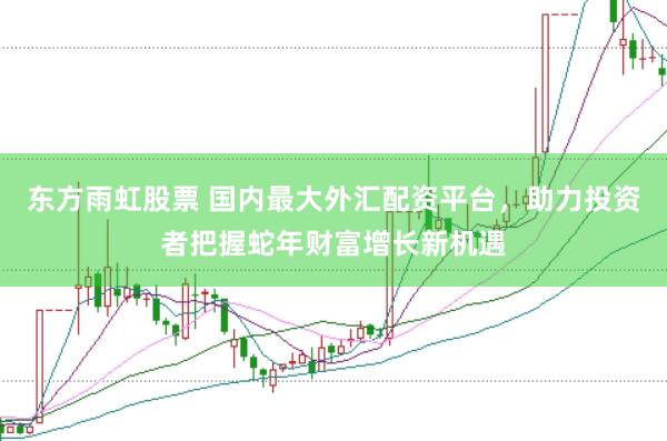 东方雨虹股票 国内最大外汇配资平台，助力投资者把握蛇年财富增长新机遇