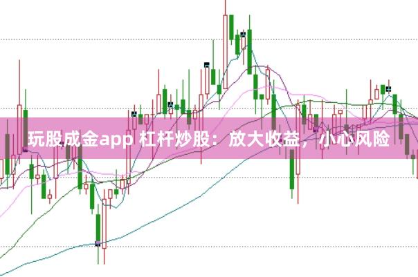 玩股成金app 杠杆炒股：放大收益，小心风险