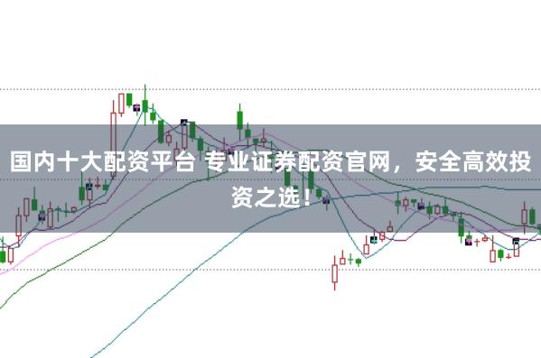 国内十大配资平台 专业证券配资官网，安全高效投资之选！