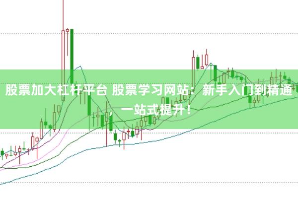股票加大杠杆平台 股票学习网站：新手入门到精通，一站式提升！