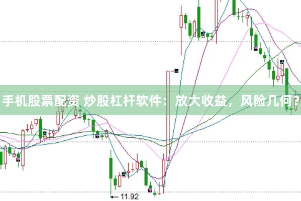 手机股票配资 炒股杠杆软件：放大收益，风险几何？