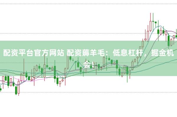 配资平台官方网站 配资薅羊毛：低息杠杆，掘金机会！