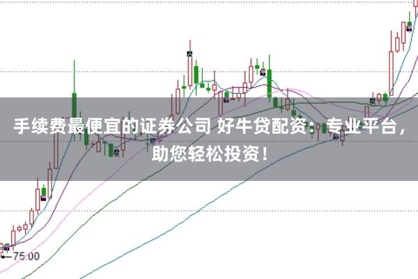 手续费最便宜的证券公司 好牛贷配资：专业平台，助您轻松投资！