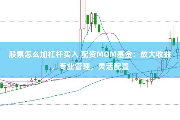 股票怎么加杠杆买入 配资MOM基金：放大收益，专业管理，灵活配置