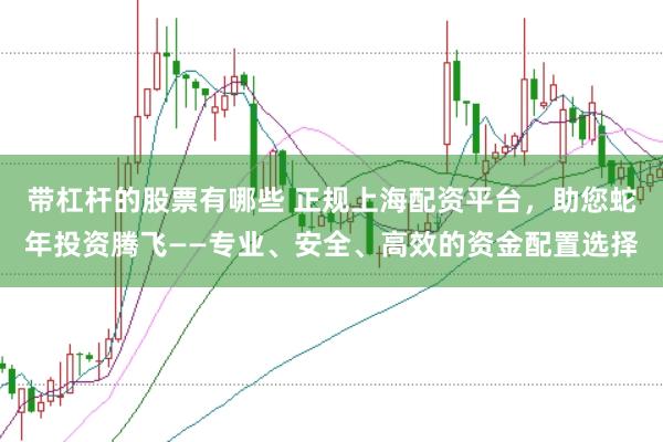 带杠杆的股票有哪些 正规上海配资平台，助您蛇年投资腾飞——专业、安全、高效的资金配置选择