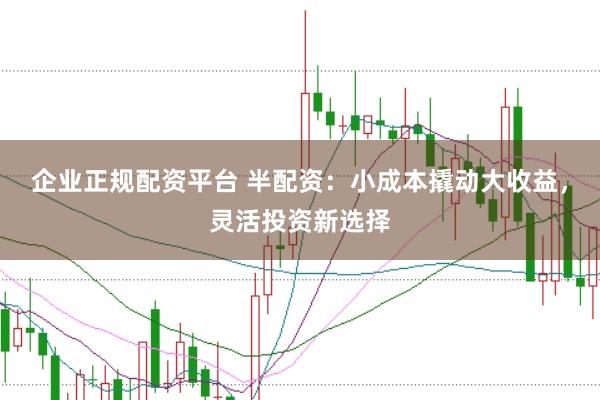 企业正规配资平台 半配资：小成本撬动大收益，灵活投资新选择
