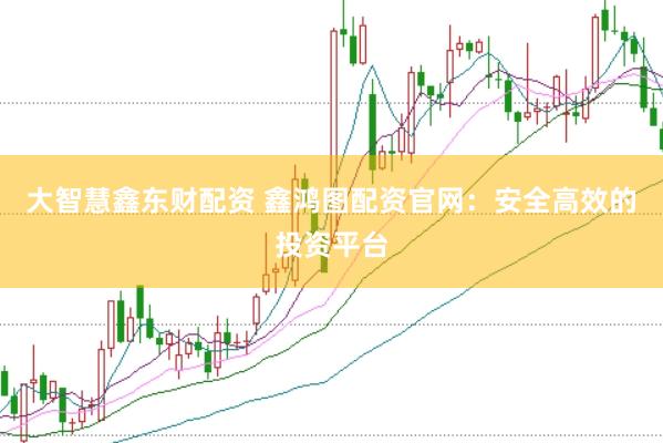 大智慧鑫东财配资 鑫鸿图配资官网：安全高效的投资平台