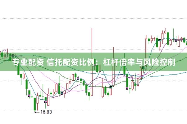 专业配资 信托配资比例：杠杆倍率与风险控制