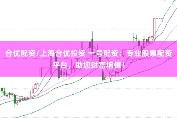 合优配资/上海合优投资 一号配资：专业股票配资平台，助您财富增值！