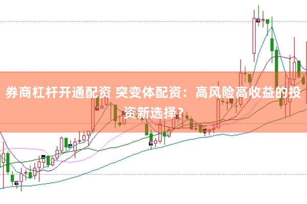 券商杠杆开通配资 突变体配资：高风险高收益的投资新选择？