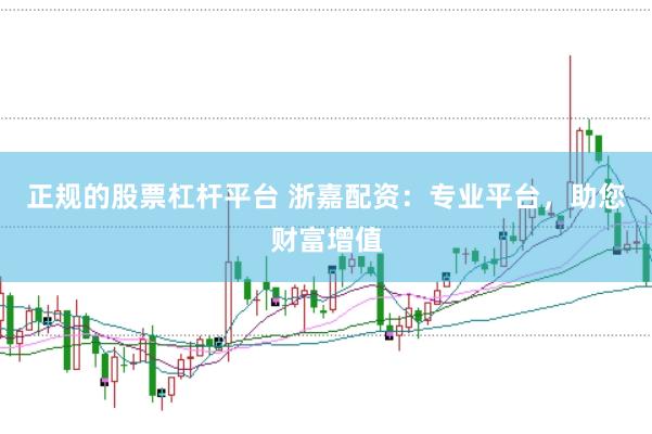 正规的股票杠杆平台 浙嘉配资:专业平台,助您财富增值