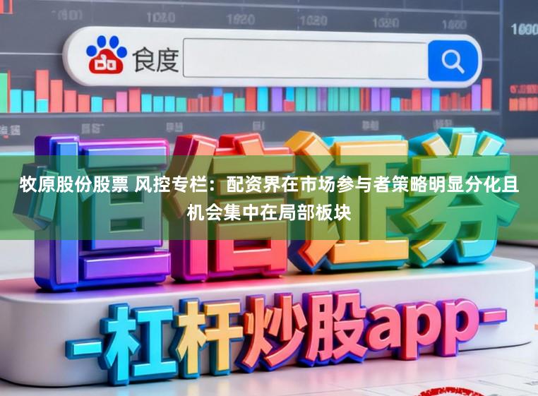 牧原股份股票 风控专栏：配资界在市场参与者策略明显分化且机会集中在局部板块
